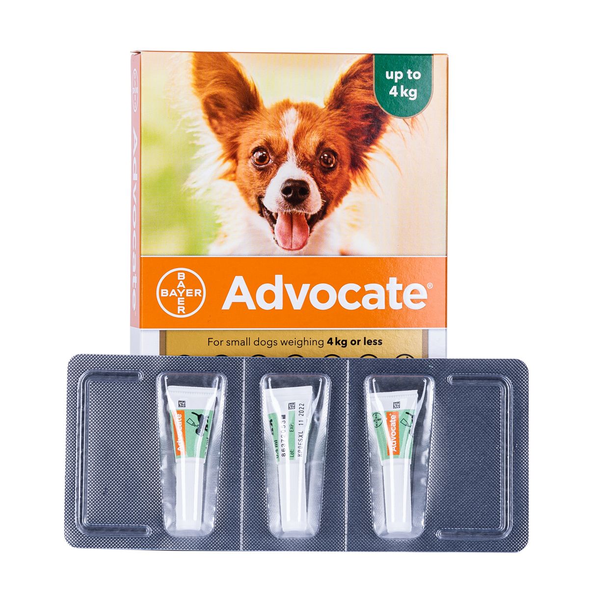 Advocate for dogs uk clearance