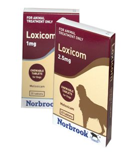 Buy Loxicom Chewable Tablet for Dogs from UK Pets - Main Image
