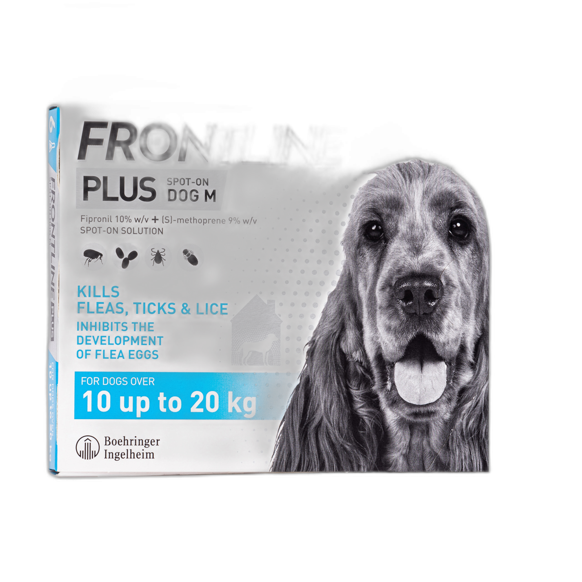 Buy Frontline Plus for Dogs (Spot-On Medium Dogs) from