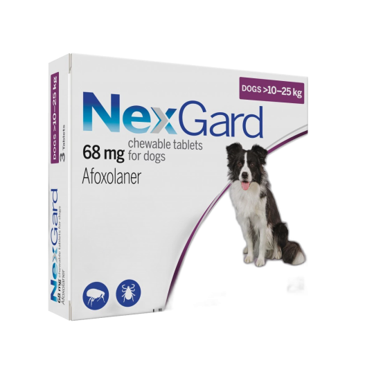 Buy NexGard Chewable Tablets for Dogs from UK Pets