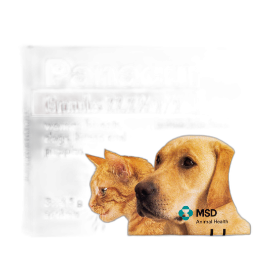 Buy Panacur Wormer for Dogs Cats Worming Granules from
