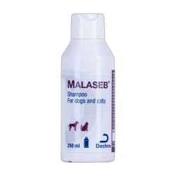 Buy Malaseb Shampoo for Dogs and Cats from UK Pets